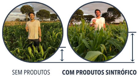 Comparativo Produtos Biodiversita