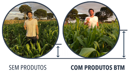 Comparativo Produtos Biodiversita
